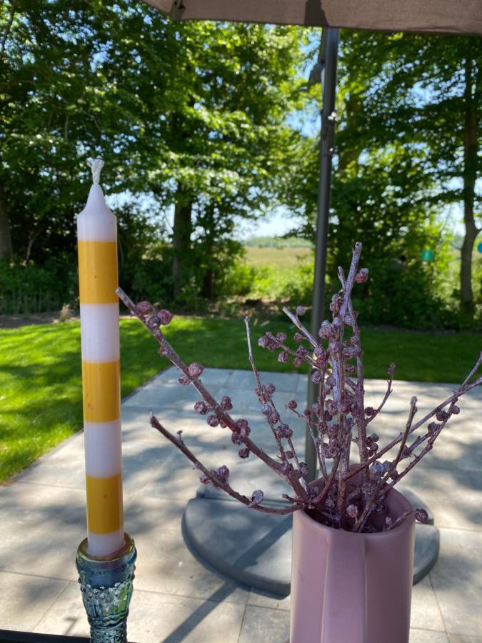 Luxe En Gezellig Chalet Aan Veluwemeer 4 Pers Hulshorst Eksteriør billede